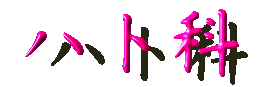 ハト科